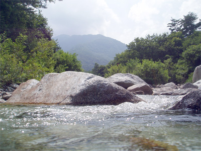 尾白川渓谷